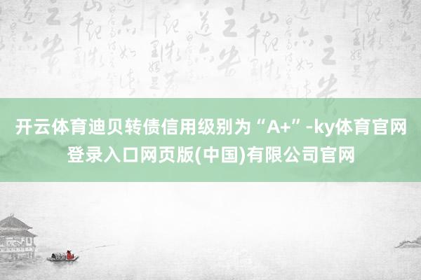 开云体育迪贝转债信用级别为“A+”-ky体育官网登录入口网页版(中国)有限公司官网