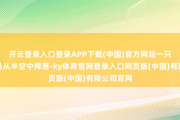 开云登录入口登录APP下载(中国)官方网站一只死透了的马从半空中摔落-ky体育官网登录入口网页版(中国)有限公司官网