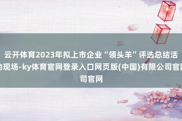 云开体育2023年拟上市企业“领头羊”评选总结活动现场-ky体育官网登录入口网页版(中国)有限公司官网