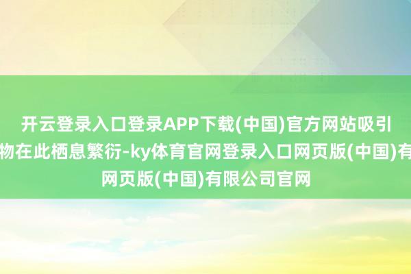 开云登录入口登录APP下载(中国)官方网站吸引多种野生动物在此栖息繁衍-ky体育官网登录入口网页版(中国)有限公司官网