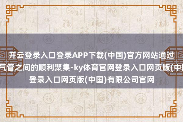 开云登录入口登录APP下载(中国)官方网站通过移除过滤器和进气管之间的顺利聚集-ky体育官网登录入口网页版(中国)有限公司官网