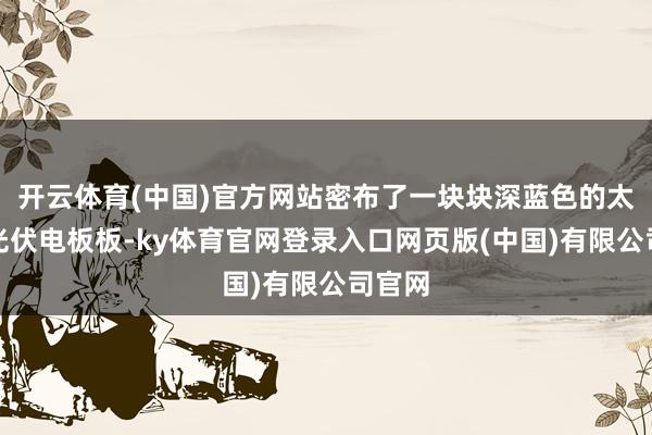 开云体育(中国)官方网站密布了一块块深蓝色的太阳能光伏电板板-ky体育官网登录入口网页版(中国)有限公司官网