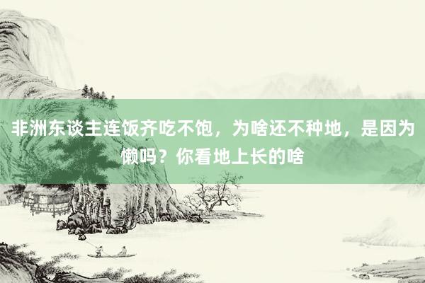 非洲东谈主连饭齐吃不饱，为啥还不种地，是因为懒吗？你看地上长的啥